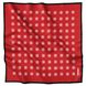 Silk pocket square "Red" P-44-99 photos 1